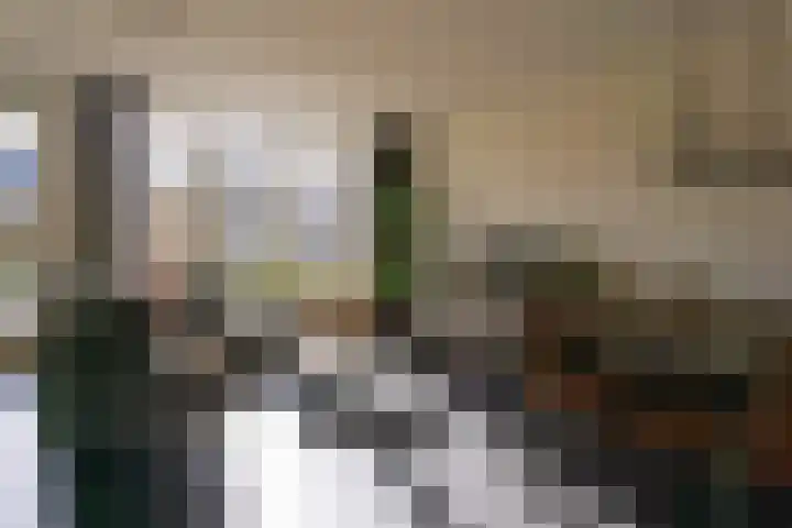 Kapitein Vinkesteinstraat 24 Halsteren foto 2