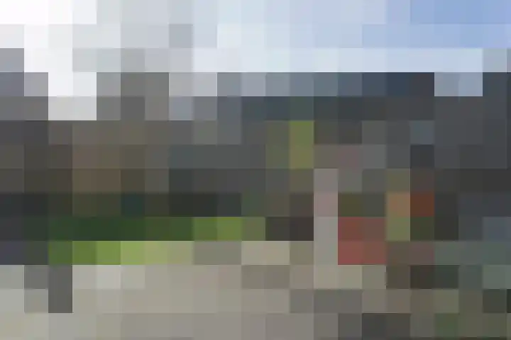 Kapitein Vinkesteinstraat 24 Halsteren thumbnail 22