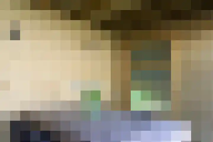 Kapitein Vinkesteinstraat 24 Halsteren thumbnail 23