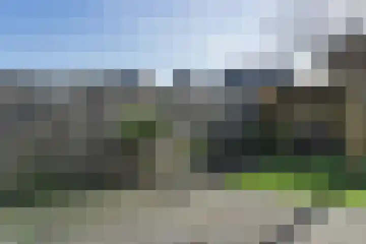 Kapitein Vinkesteinstraat 24 Halsteren thumbnail 24