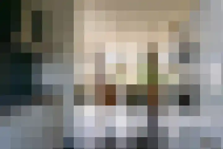 Kapitein Vinkesteinstraat 24 Halsteren thumbnail 7