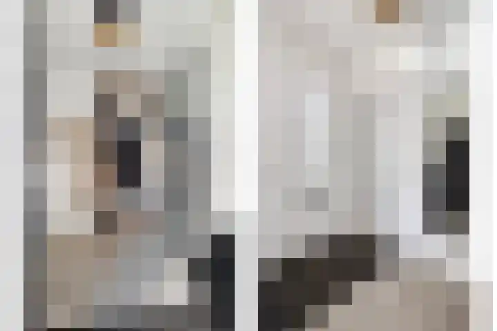Kapitein Wielmanlaan 15 Halsteren thumbnail 11