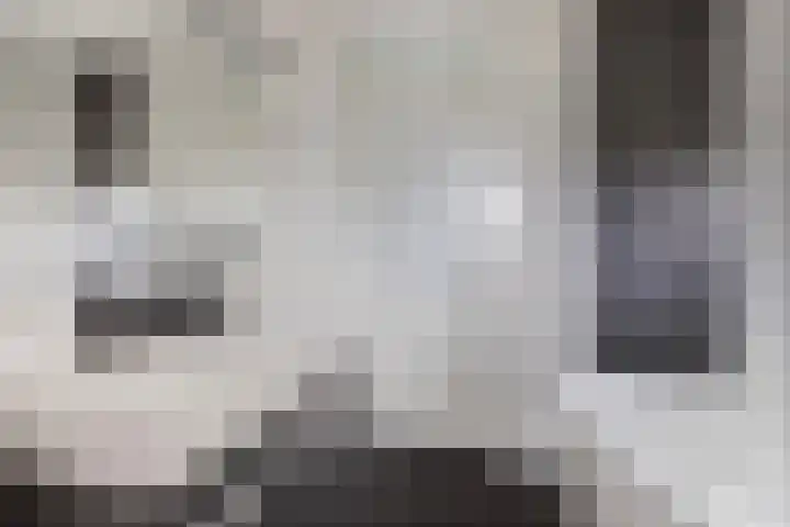 Kapitein Wielmanlaan 15 Halsteren thumbnail 12