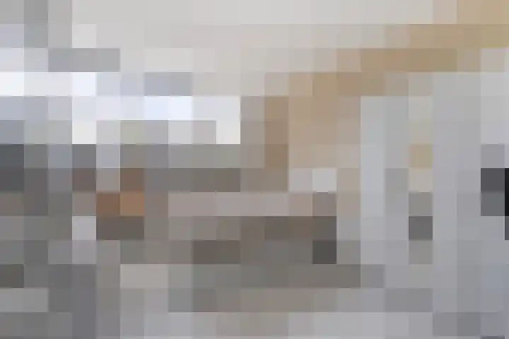 Kapitein Wielmanlaan 15 Halsteren thumbnail 17