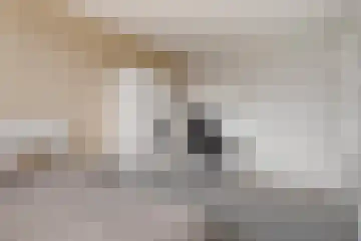 Kapitein Wielmanlaan 15 Halsteren thumbnail 18