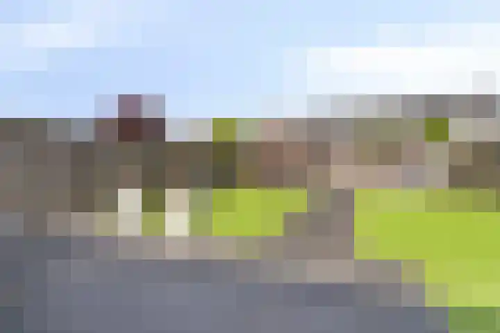 Kapitein Wielmanlaan 15 Halsteren foto 2