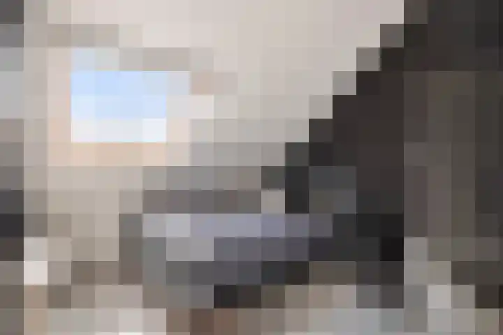 Kapitein Wielmanlaan 15 Halsteren thumbnail 21