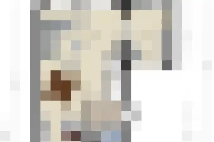 Kapitein Wielmanlaan 15 Halsteren thumbnail 28
