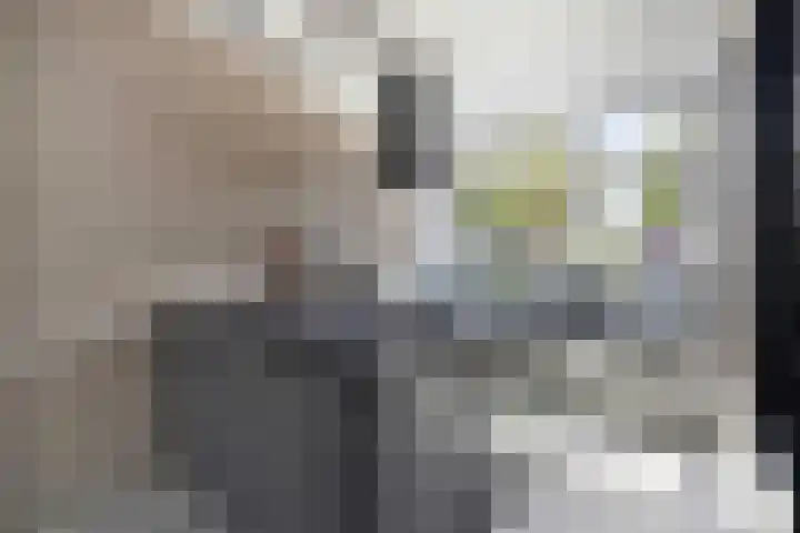 Kapitein Wielmanlaan 15 Halsteren thumbnail 8