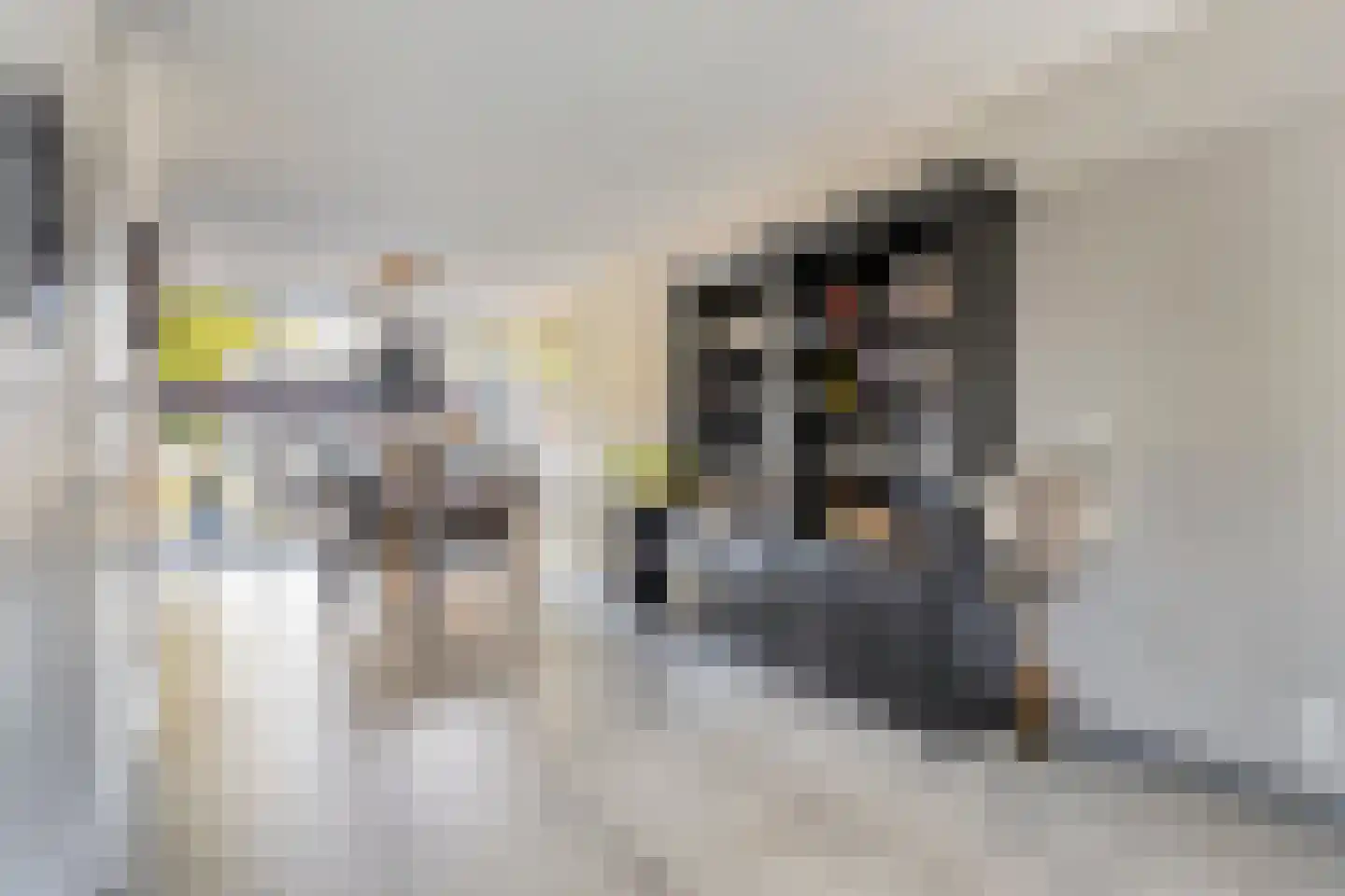 Kapitein Wielmanlaan 24 Halsteren thumbnail 10