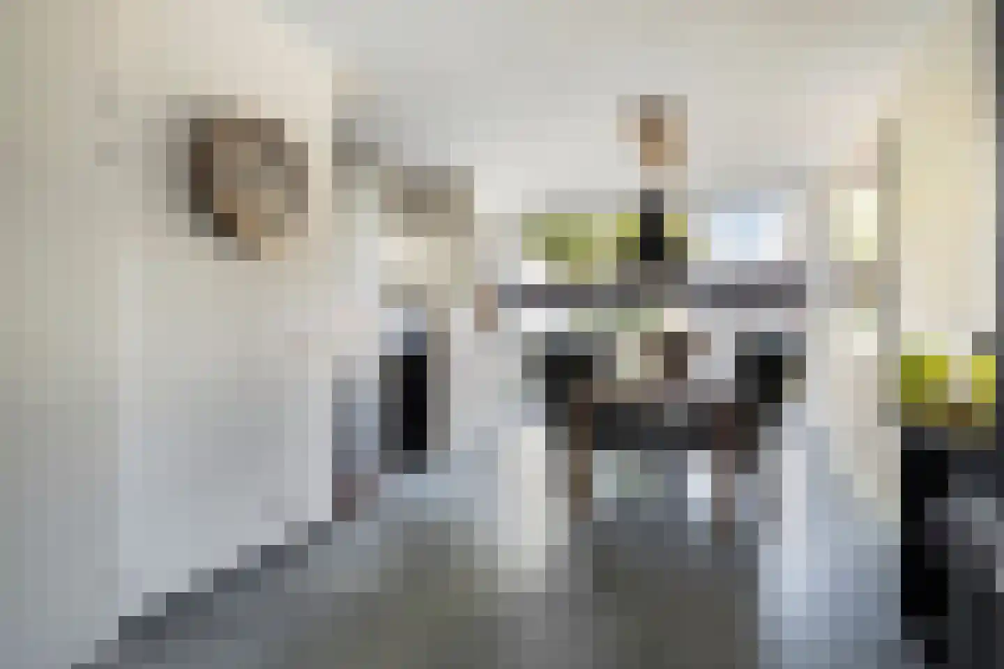 Kapitein Wielmanlaan 24 Halsteren thumbnail 11