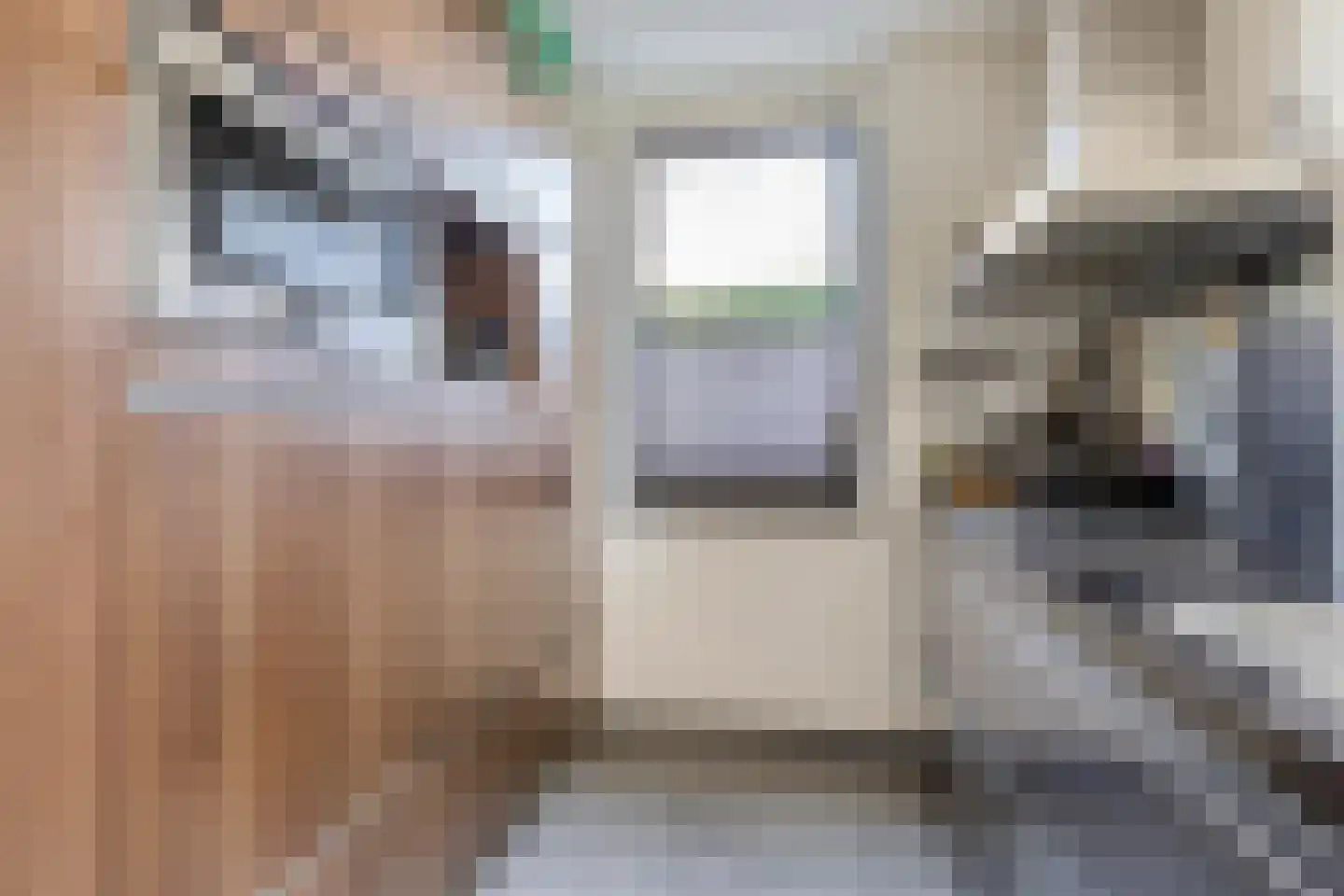 Kapitein Wielmanlaan 24 Halsteren thumbnail 13