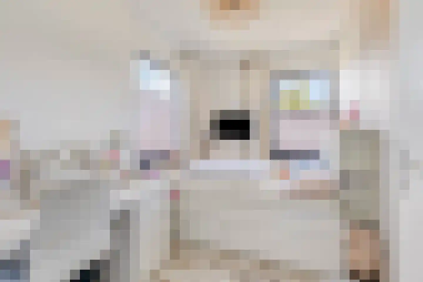 Kapitein Wielmanlaan 24 Halsteren thumbnail 17