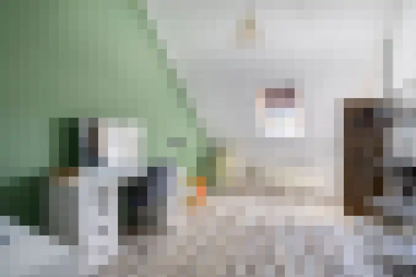 Kapitein Wielmanlaan 24 Halsteren thumbnail 23