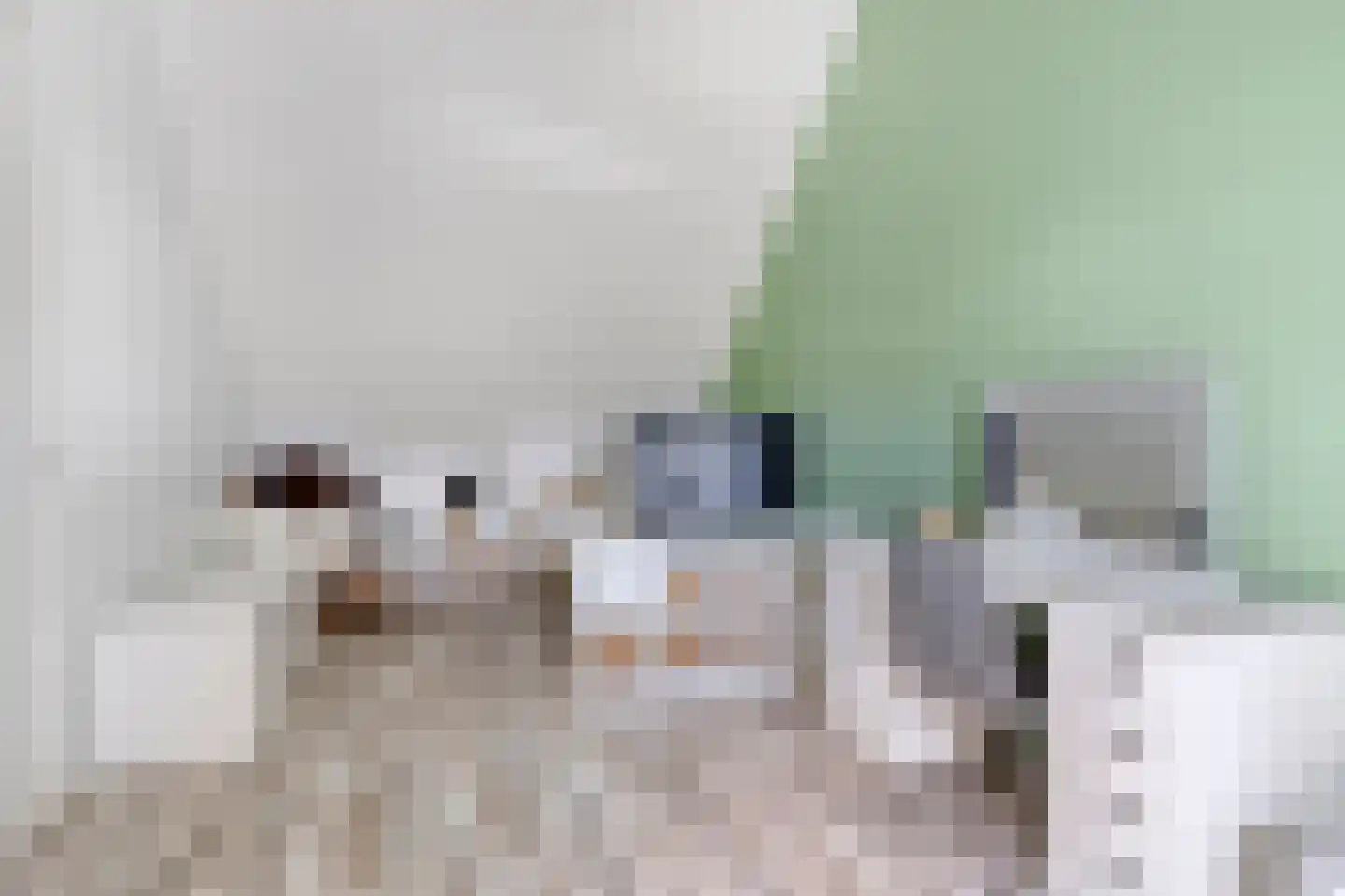 Kapitein Wielmanlaan 24 Halsteren thumbnail 24