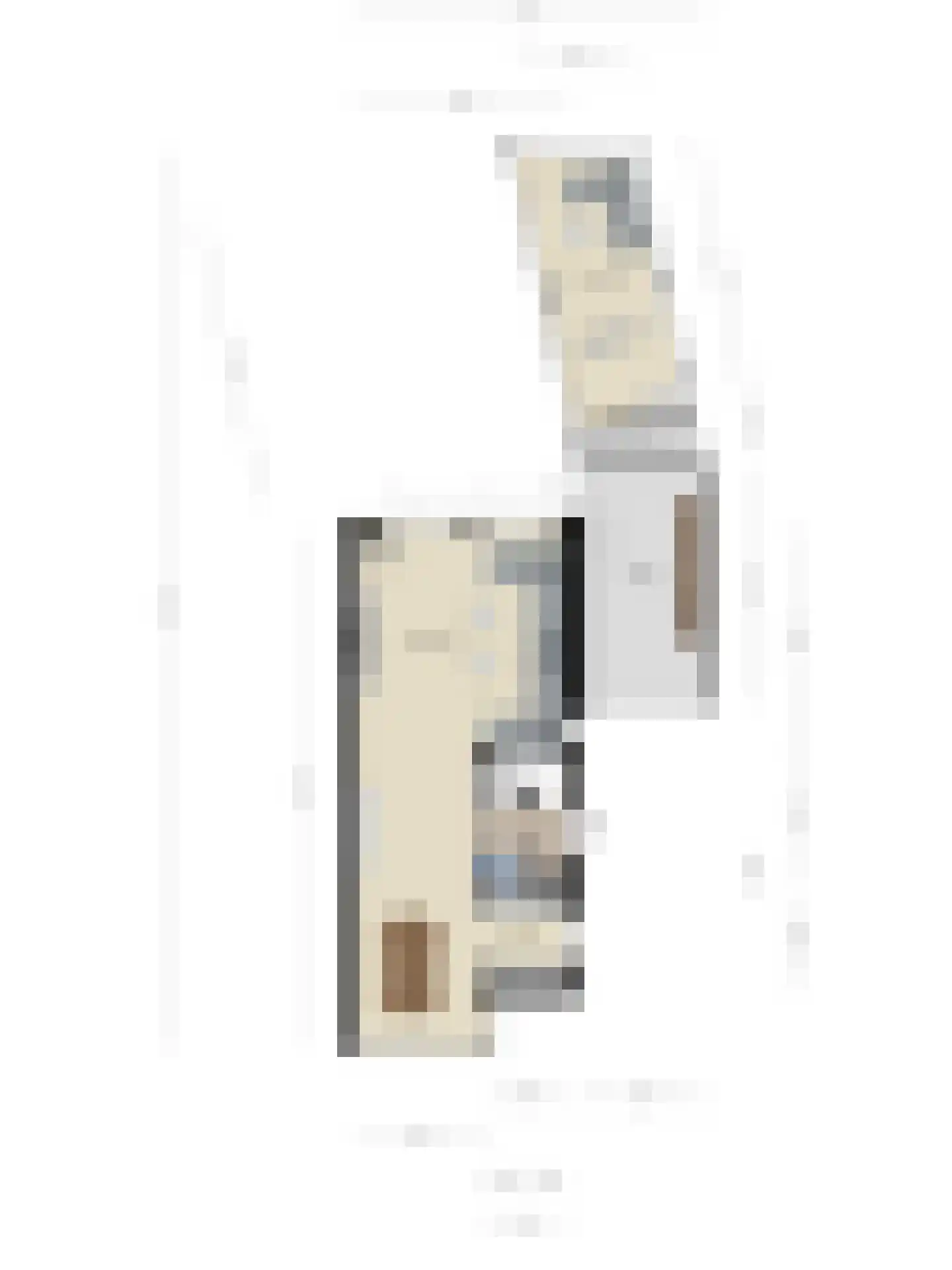 Kapitein Wielmanlaan 24 Halsteren thumbnail 31