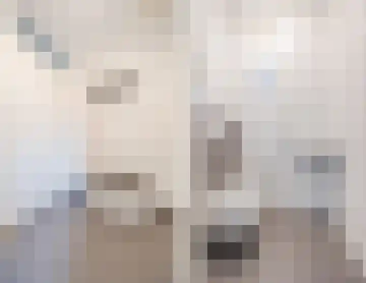 Kapitein Wielmanlaan 29 Halsteren thumbnail 11