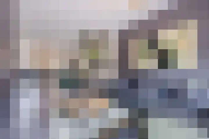 Kapitein Wielmanlaan 29 Halsteren thumbnail 15