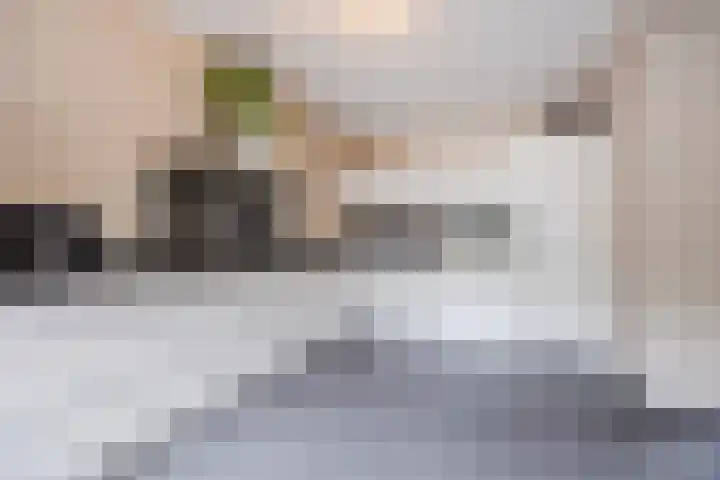 Kapitein Wielmanlaan 29 Halsteren thumbnail 24