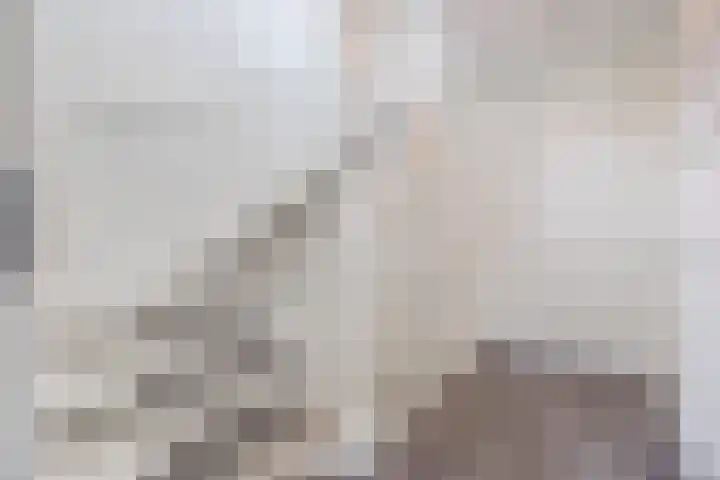 Kapitein Wielmanlaan 29 Halsteren thumbnail 27