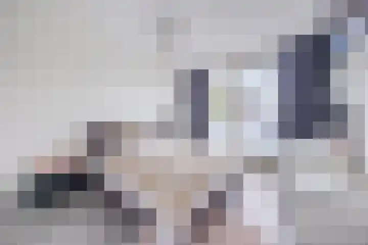 Kapitein Wielmanlaan 29 Halsteren thumbnail 30