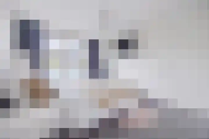 Kapitein Wielmanlaan 29 Halsteren thumbnail 31