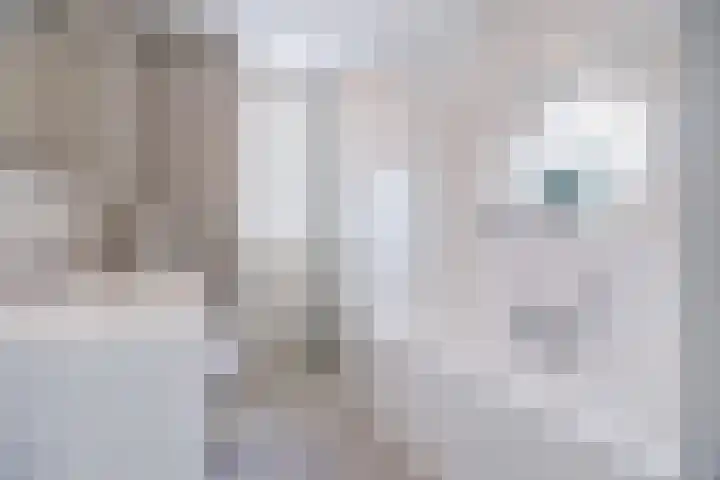 Kapitein Wielmanlaan 29 Halsteren thumbnail 35