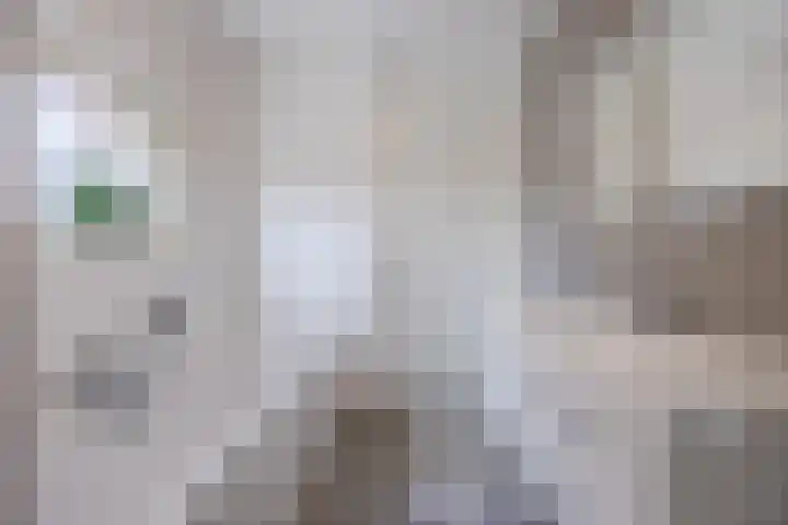 Kapitein Wielmanlaan 29 Halsteren thumbnail 37
