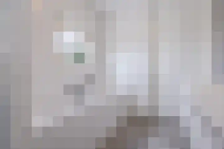 Kapitein Wielmanlaan 29 Halsteren thumbnail 38
