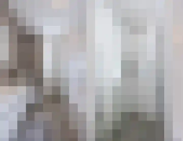 Kapitein Wielmanlaan 29 Halsteren thumbnail 41