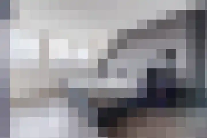 Kapitein Wielmanlaan 29 Halsteren thumbnail 44
