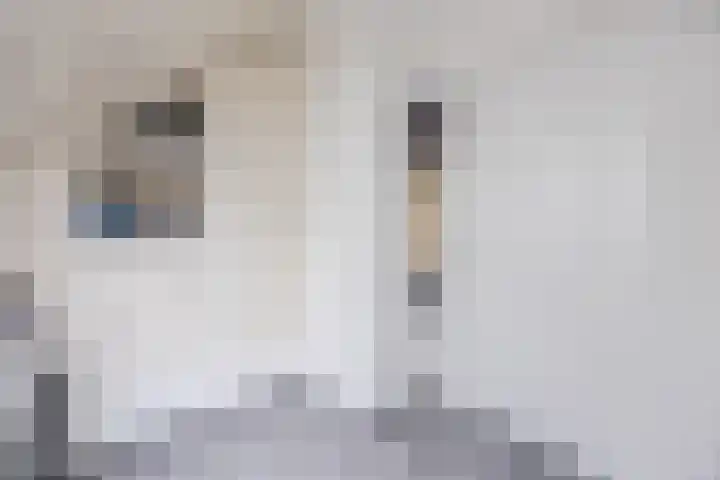 Kapitein Wielmanlaan 29 Halsteren thumbnail 49