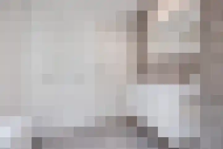 Kapitein Wielmanlaan 29 Halsteren thumbnail 52