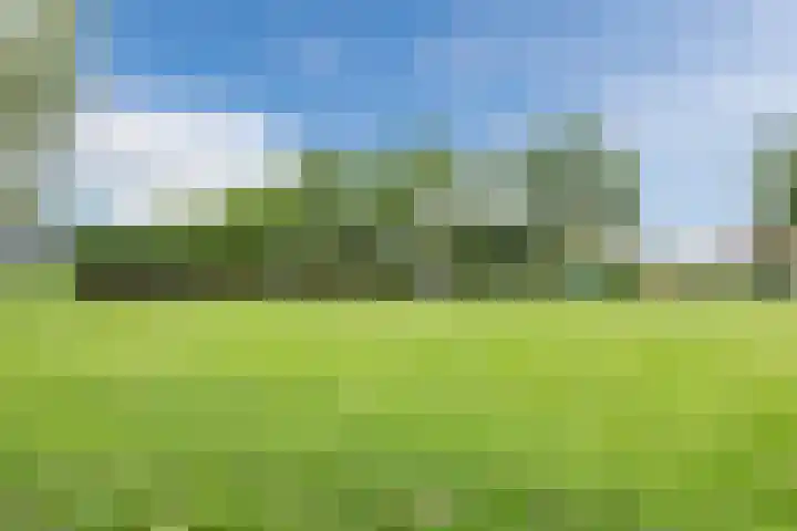 Kapitein Wielmanlaan 29 Halsteren thumbnail 64