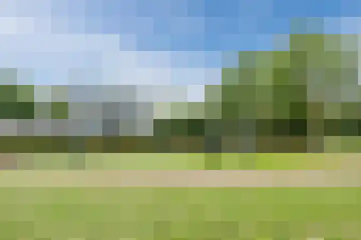 Kapitein Wielmanlaan 29 Halsteren thumbnail 65