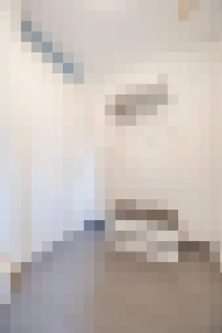 Kapitein Wielmanlaan 29 Halsteren thumbnail 9