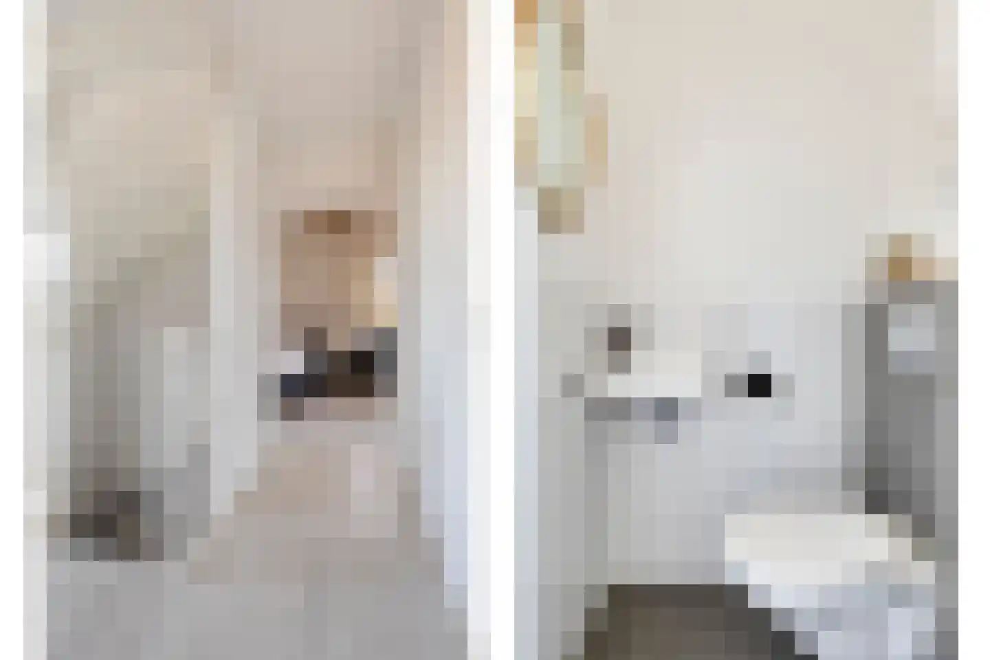 Kapitein Wielmanlaan 54 Halsteren thumbnail 11