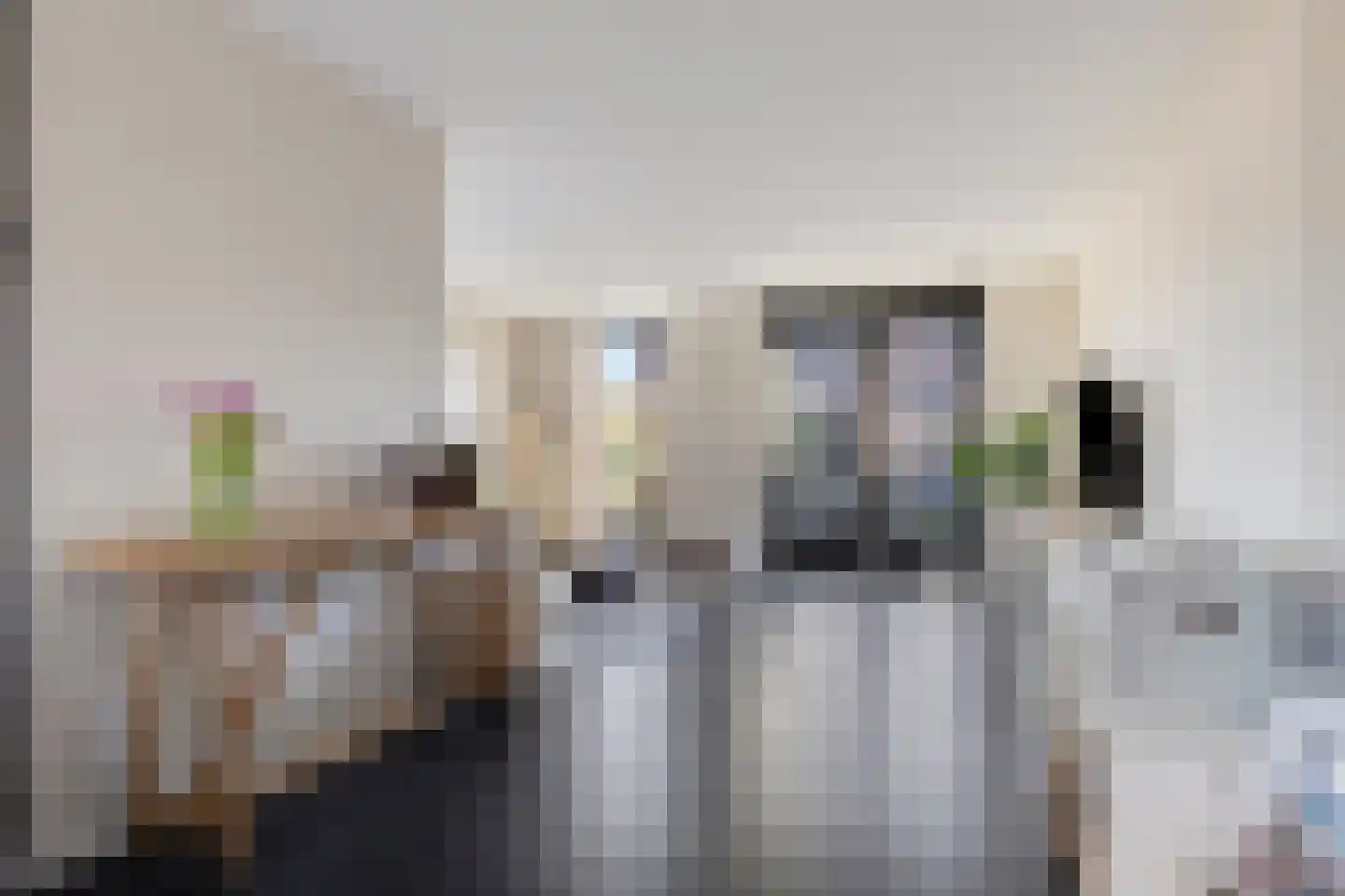 Kapitein Wielmanlaan 54 Halsteren thumbnail 12