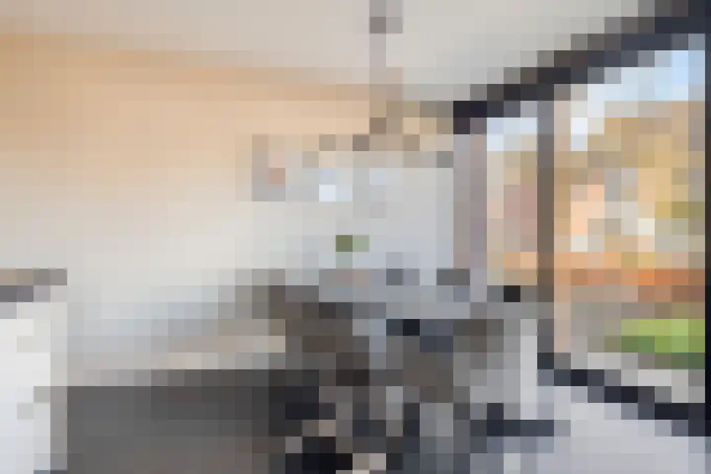 Kapitein Wielmanlaan 54 Halsteren thumbnail 24