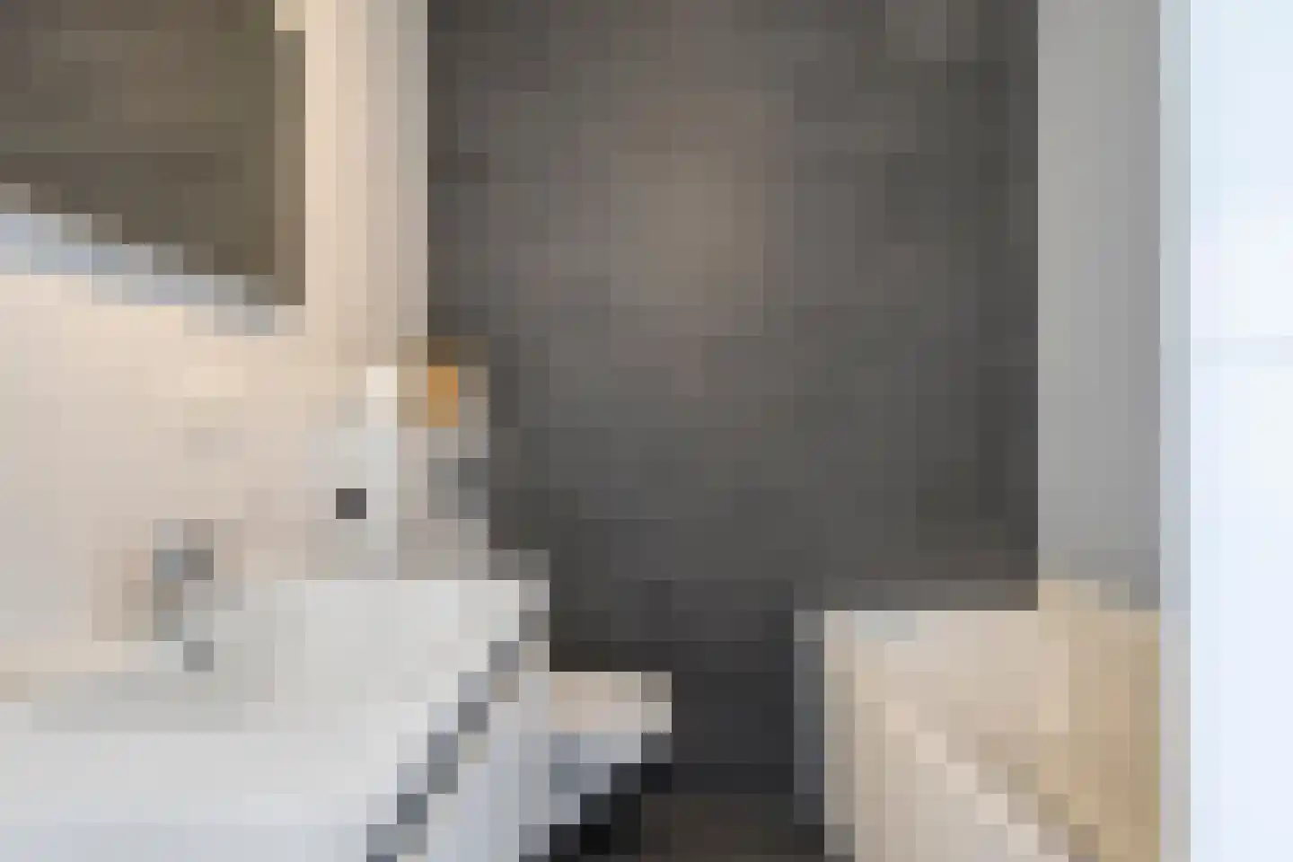 Kapitein Wielmanlaan 54 Halsteren thumbnail 33