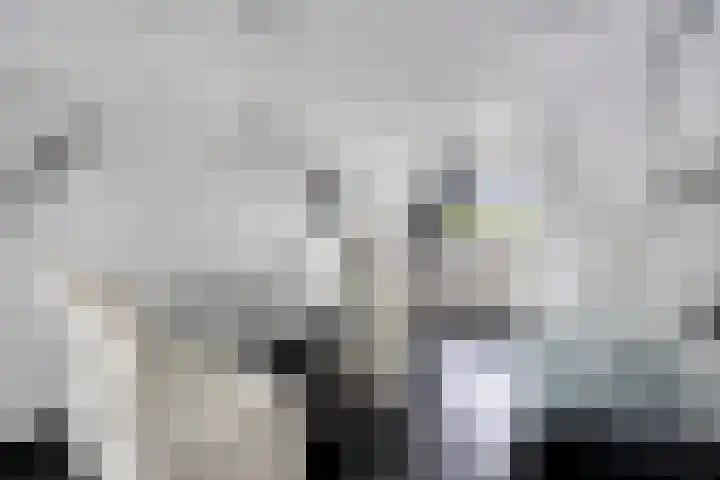 Kapitein Wielmanlaan 9 Halsteren thumbnail 10
