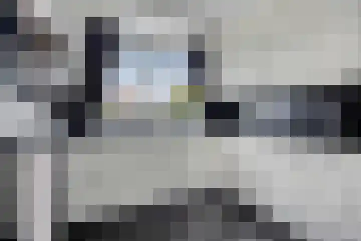 Kapitein Wielmanlaan 9 Halsteren thumbnail 12