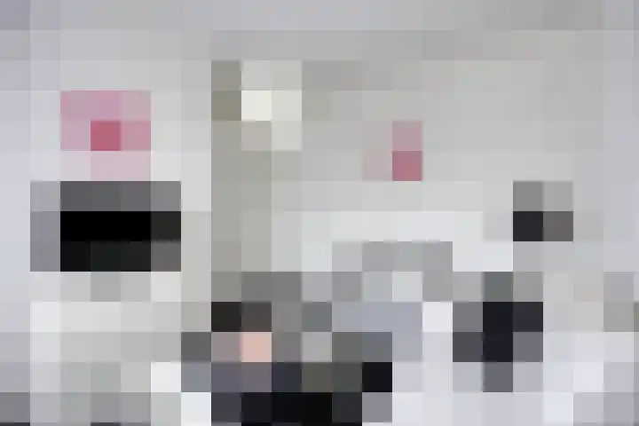 Kapitein Wielmanlaan 9 Halsteren thumbnail 16