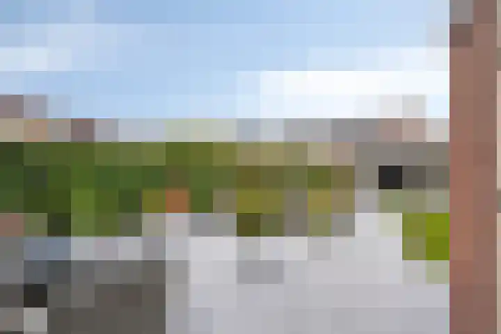 Kapitein Wielmanlaan 9 Halsteren foto 2