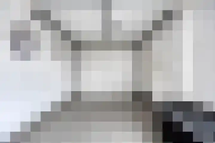 Kapitein Wielmanlaan 9 Halsteren thumbnail 26