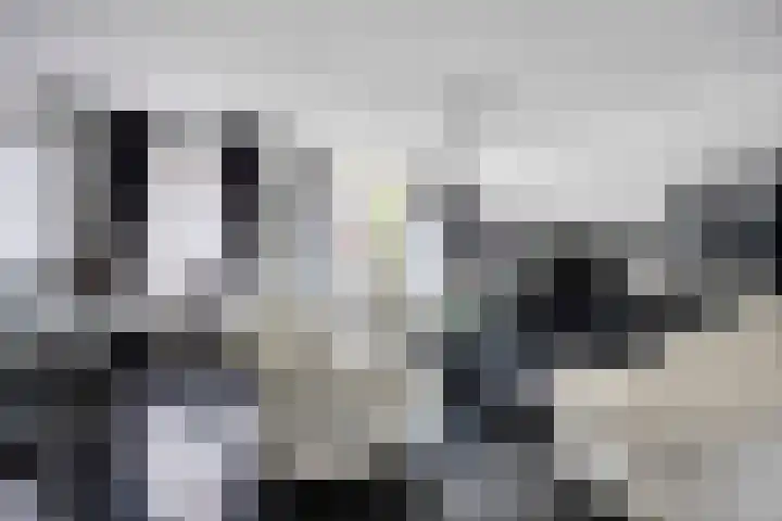 Kapitein Wielmanlaan 9 Halsteren foto 3