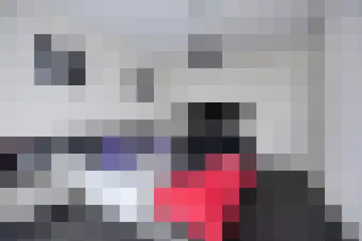 Kapitein Wielmanlaan 9 Halsteren thumbnail 4