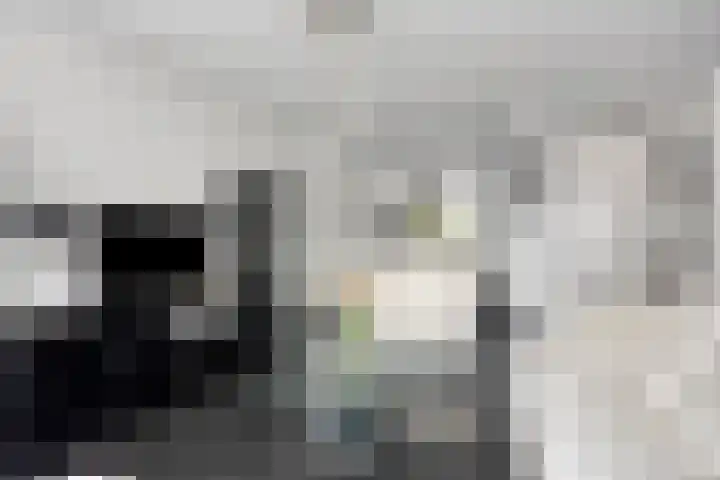 Kapitein Wielmanlaan 9 Halsteren thumbnail 9