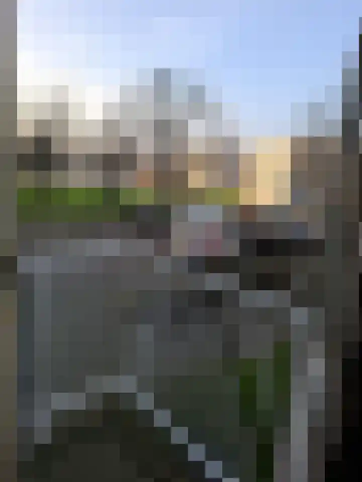 Kapiteinsbuurt 1 Rotterdam thumbnail 7