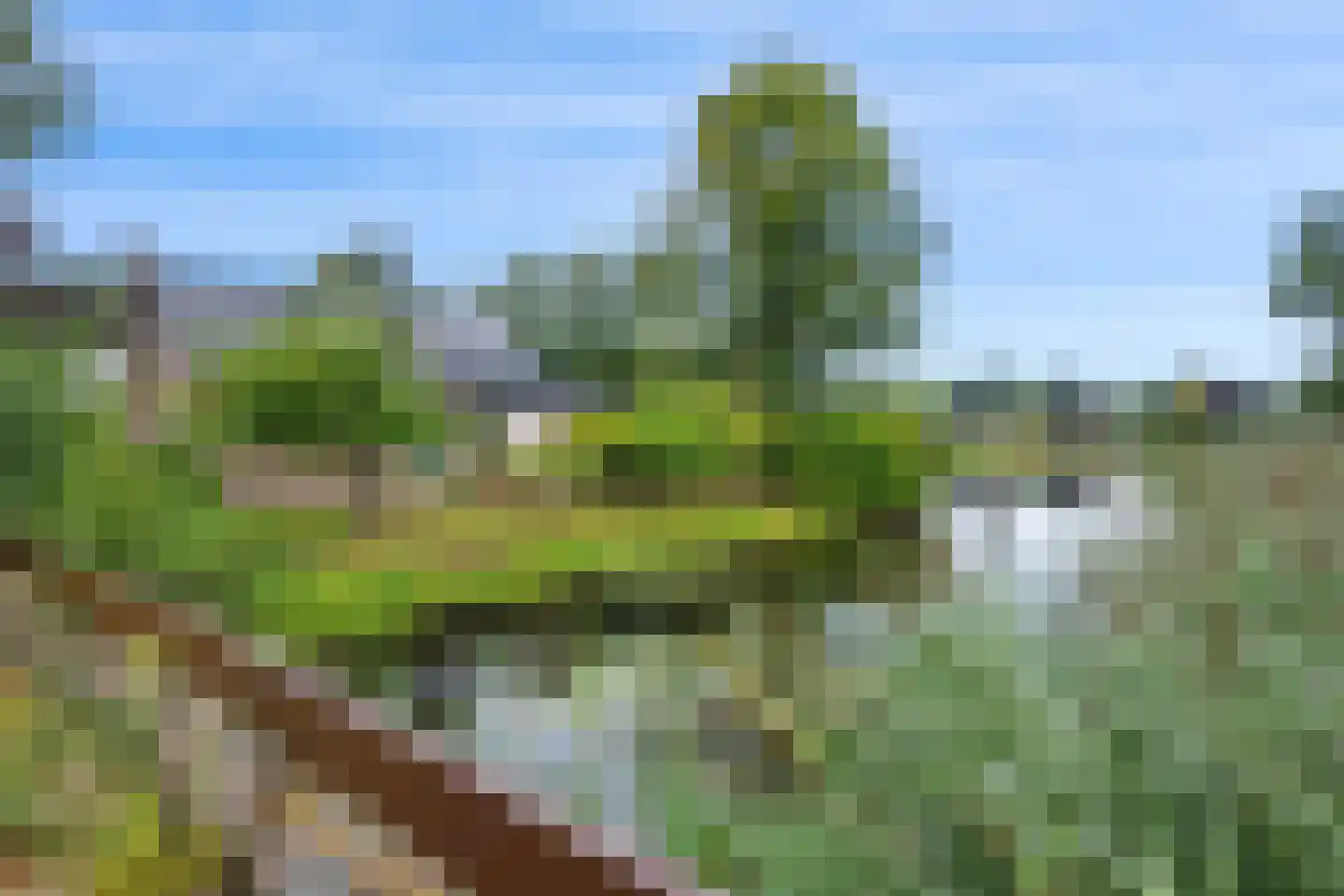 Kapiteinspark 26 Veendam thumbnail 14